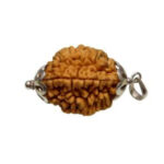 2 Face Rudraksha