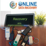 Online Data Recovery