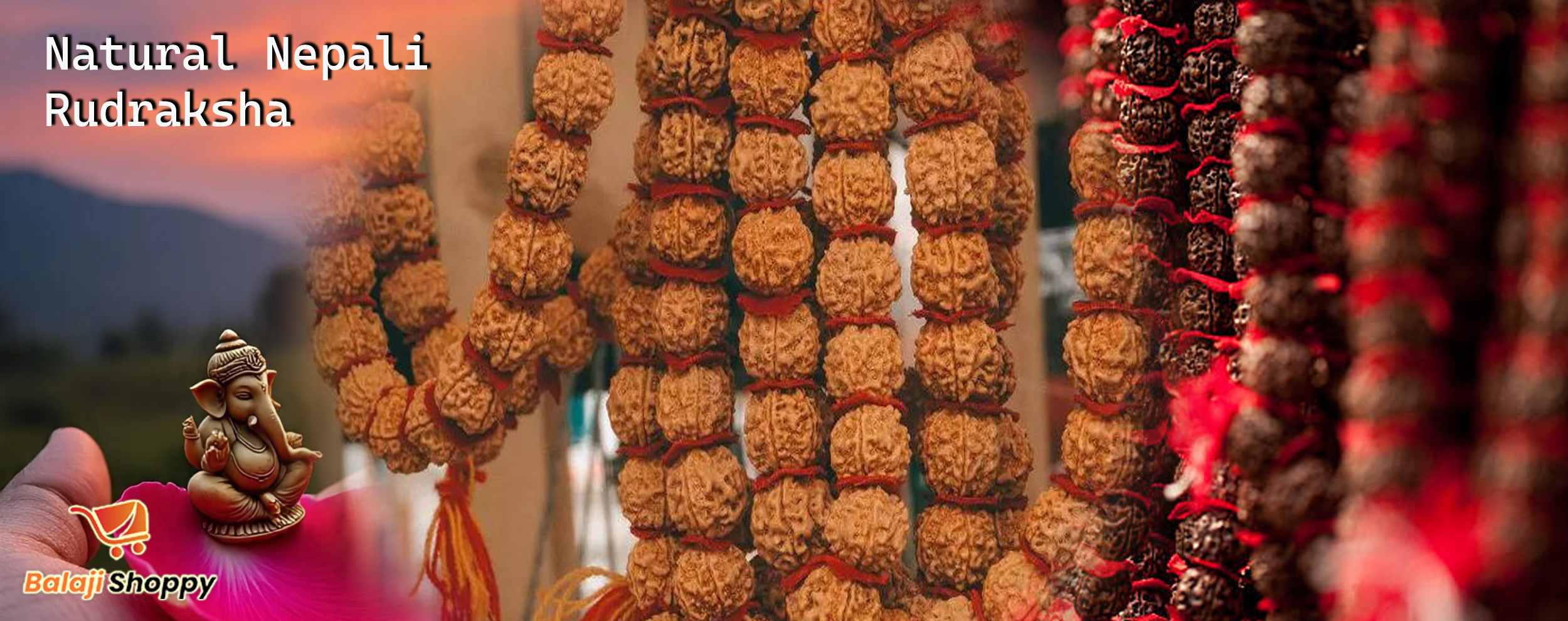 rudraksha